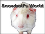 Go to Snowball's World!